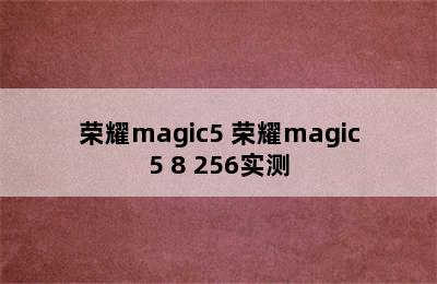 荣耀magic5 荣耀magic5 8+256实测